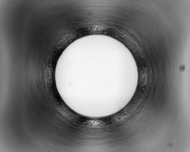 X0000103400654200810100935