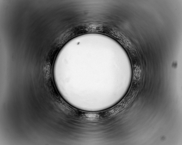 X0000103400659200810100935