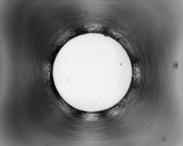 X0000103400664200810100935