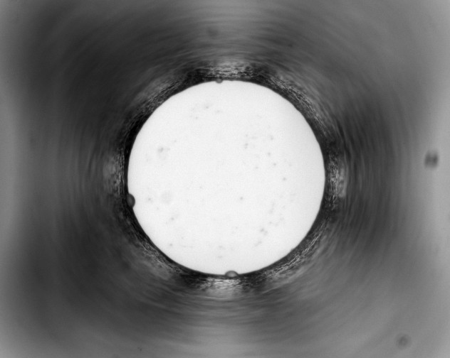 X0000103400665200810100935