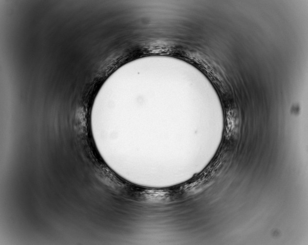 X0000103400667200810100935