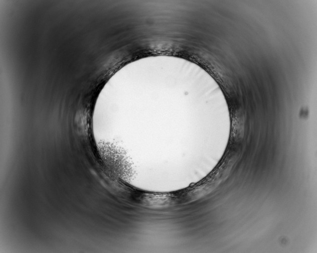 X0000103400671200810100935