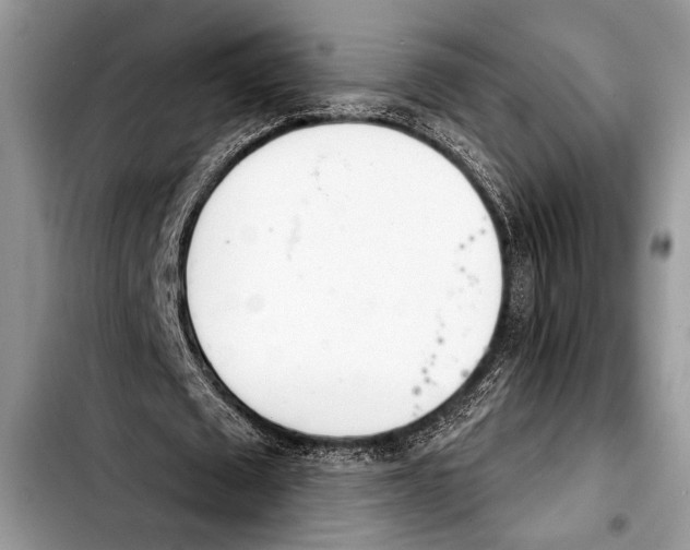 X0000103400673200810100934