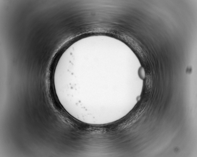 X0000103400676200810100934