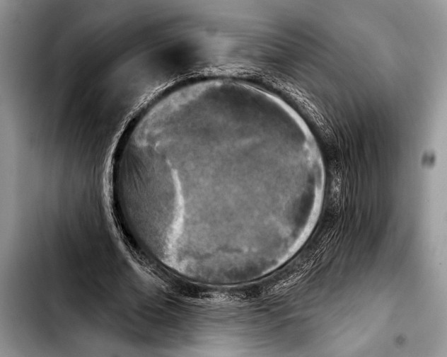 X0000103400678200810100934