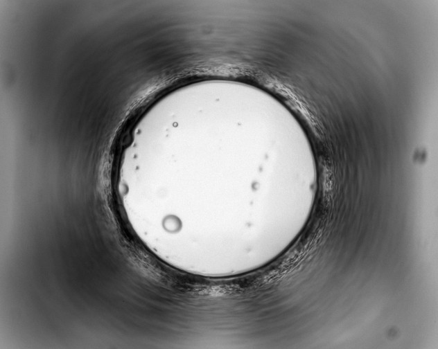 X0000103400679200810100934