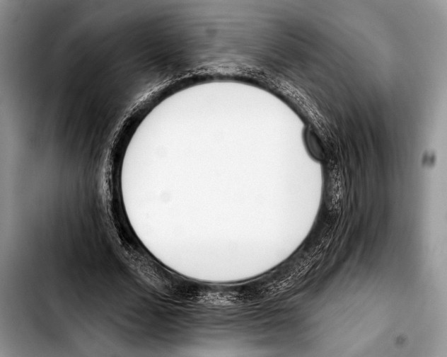 X0000103400680200810100934