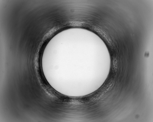 X0000103400682200810100934