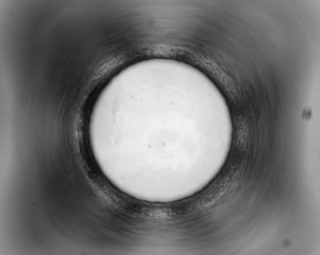 X0000103400683200810100934