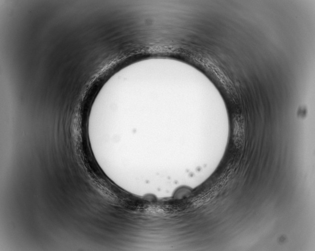 X0000103400684200810100934