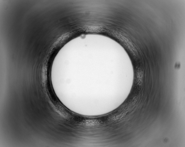 X0000103400686200810100934