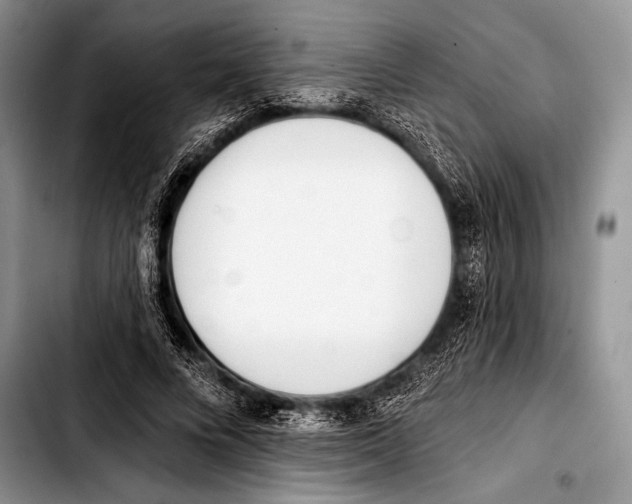 X0000103400688200810100934