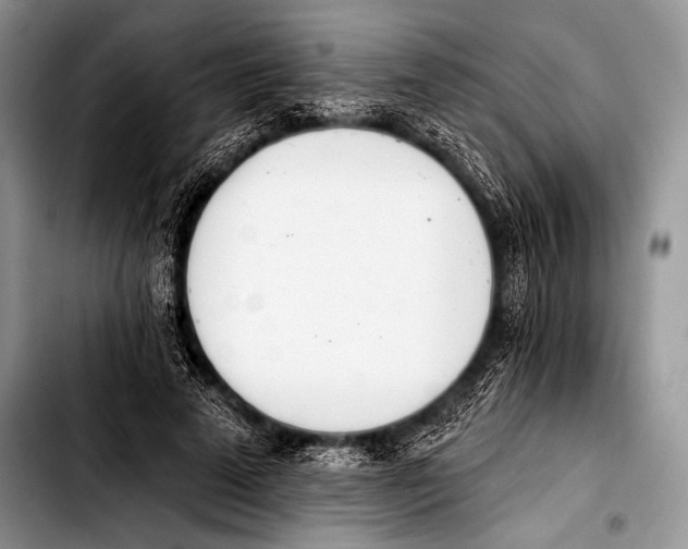 X0000103400689200810100934