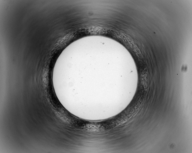 X0000103400690200810100934