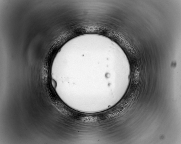 X0000103400691200810100934