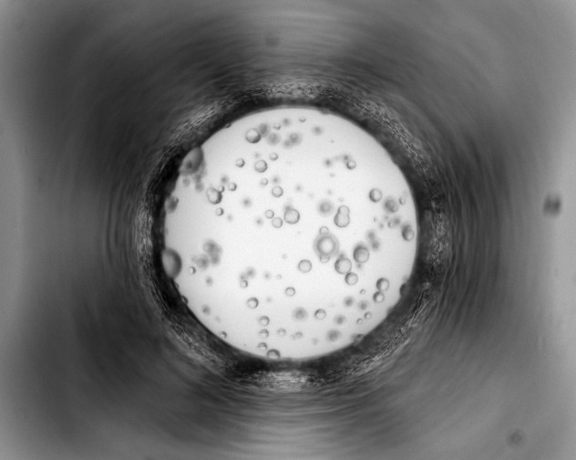 X0000103400692200810100934