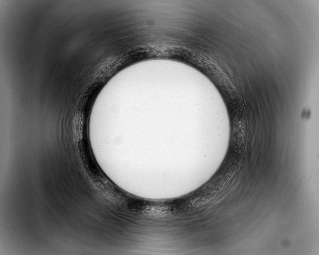 X0000103400694200810100934