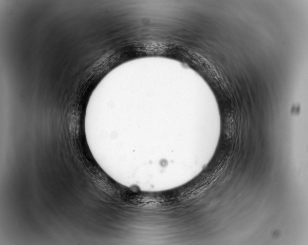 X0000103400697200810100934