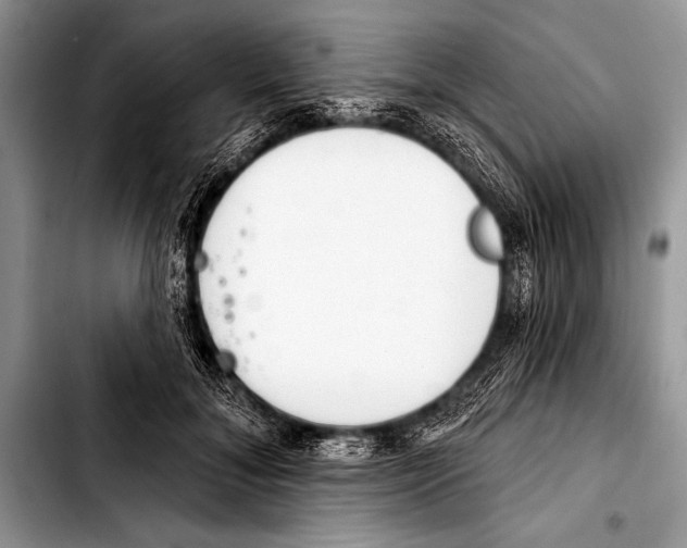 X0000103400700200810100934