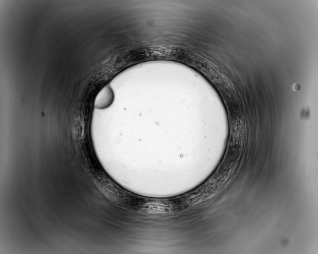 X0000103400703200810100934