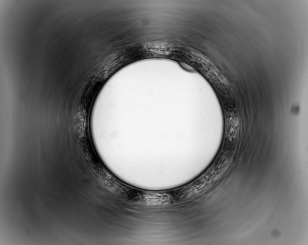 X0000103400707200810100934