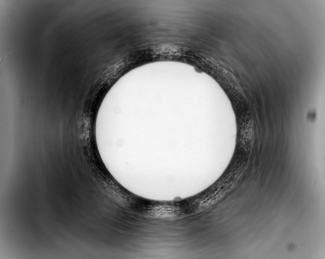 X0000103400708200810100934