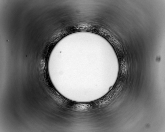 X0000103400711200810100934