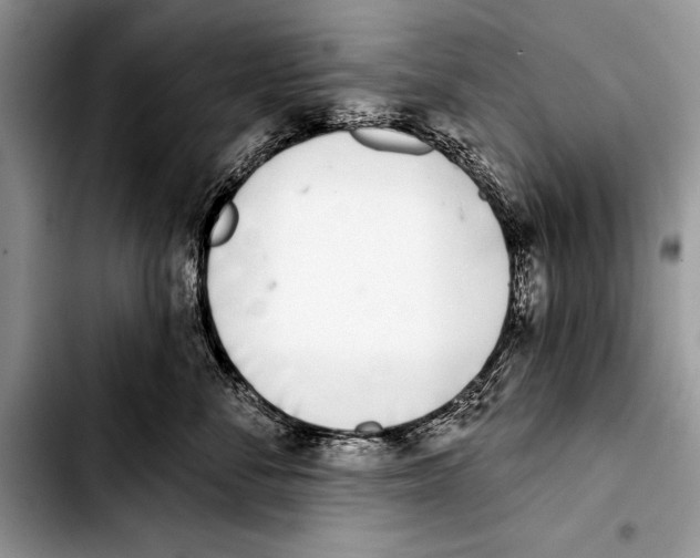 X0000103400716200810100934