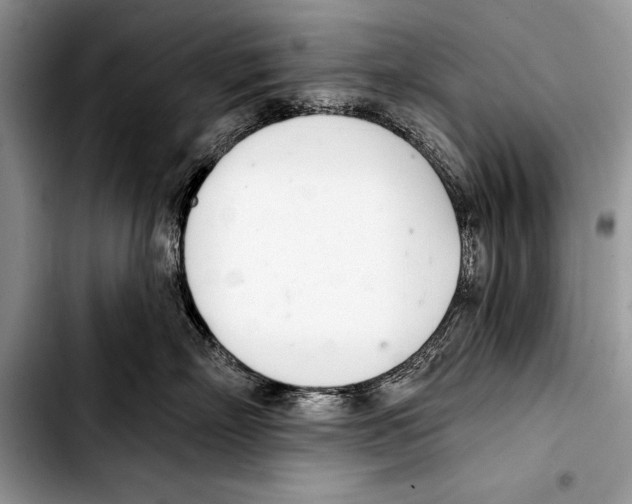 X0000103400718200810100933