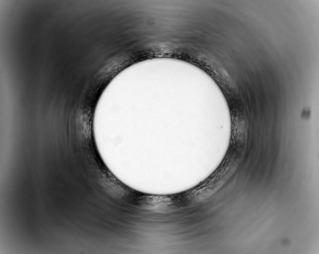 X0000103400719200810100933