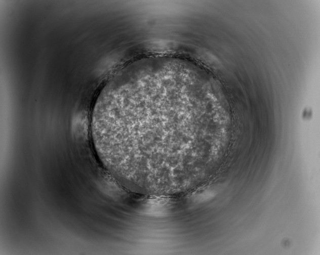 X0000103400720200810100933