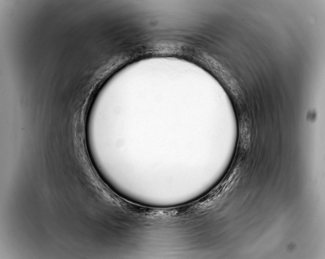 X0000103400721200810100933