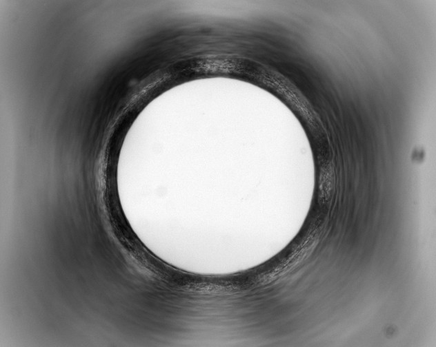 X0000103400722200810100933