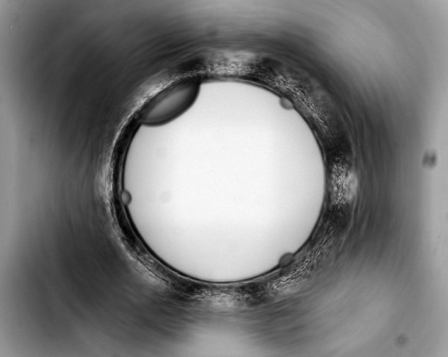 X0000103400726200810100933