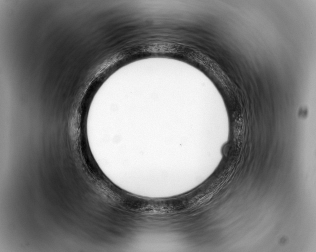 X0000103400727200810100933