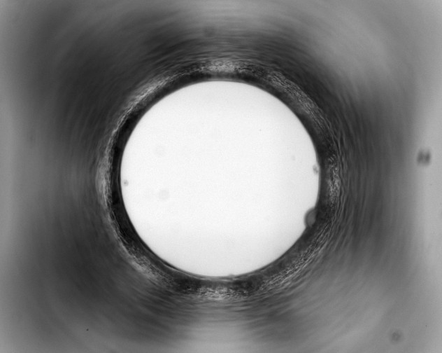 X0000103400728200810100933