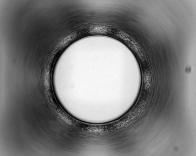 X0000103400729200810100933