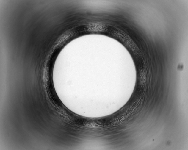 X0000103400731200810100933