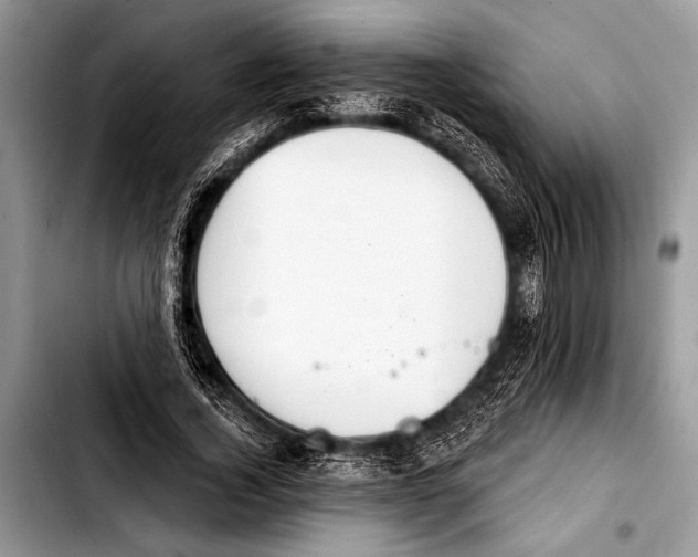 X0000103400732200810100933