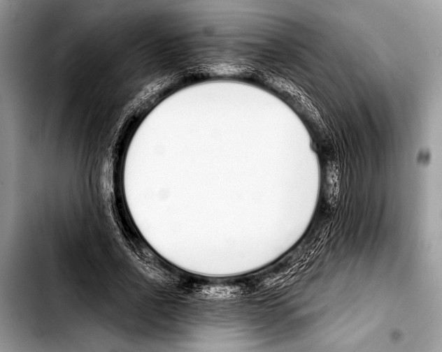 X0000103400734200810100933