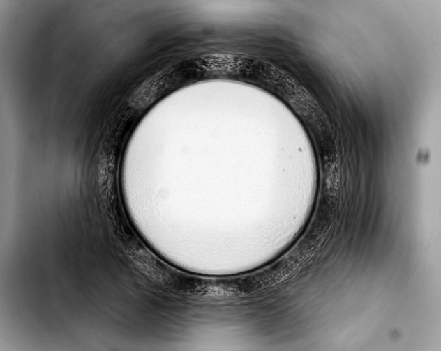 X0000103400737200810100933