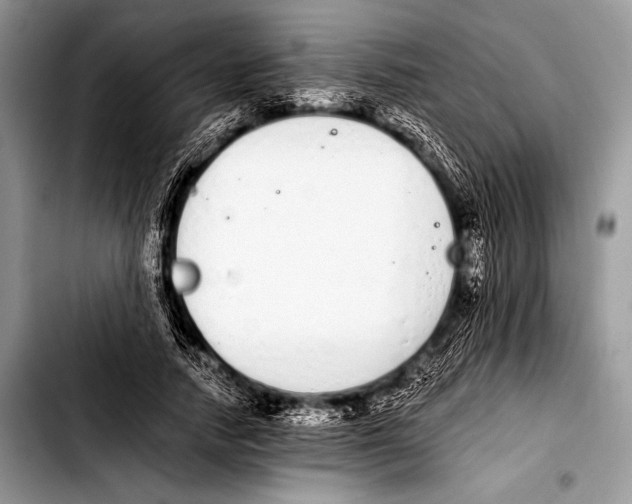 X0000103400738200810100933