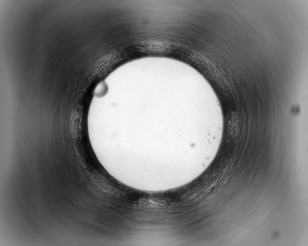 X0000103400739200810100933