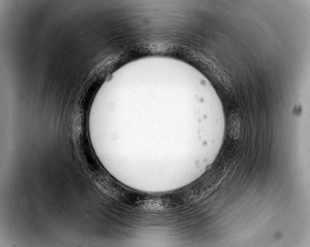 X0000103400740200810100933