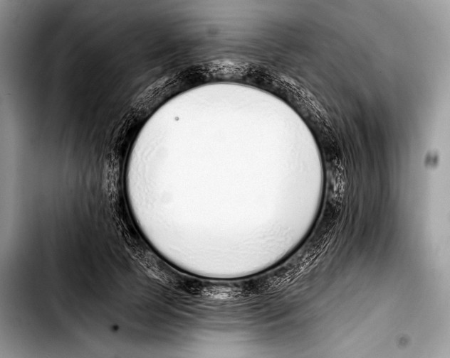 X0000103400745200810100933