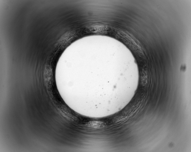 X0000103400748200810100933