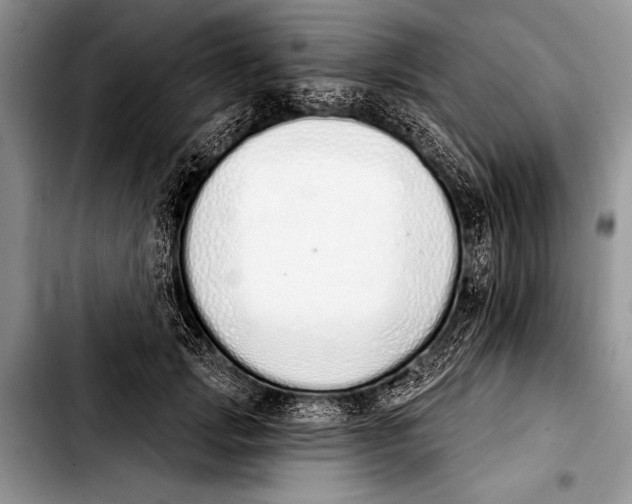 X0000103400749200810100933