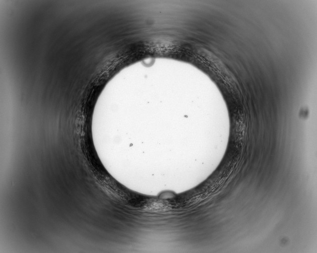 X0000103400750200810100933