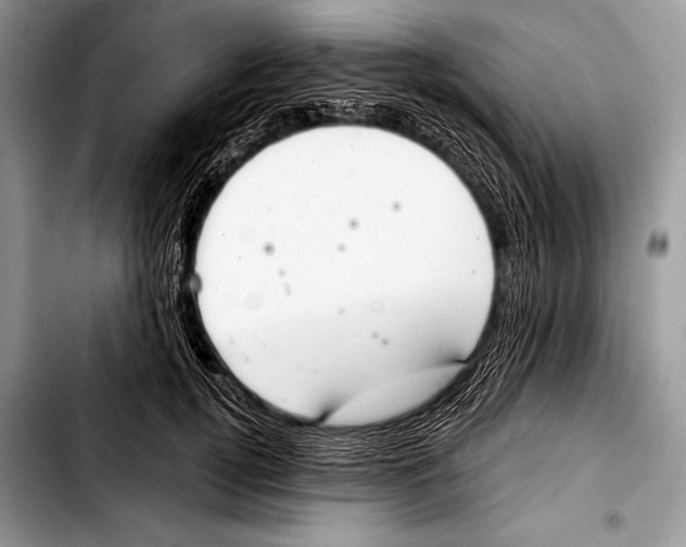 X0000103400752200810100933