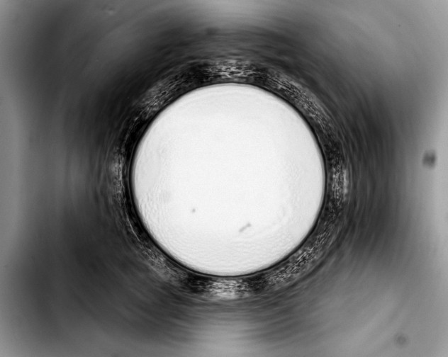 X0000103400757200810100933